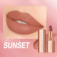 Velvet Mist Texture Locking Makeup Technology Misty Kiss Color Locking Matte Lipstick