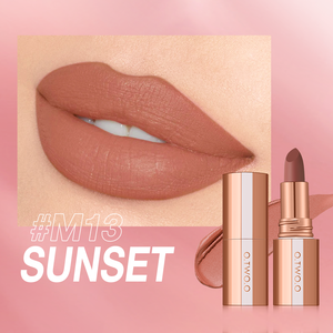 Velvet Mist Texture Locking Makeup Technology Misty Kiss Color Locking Matte Lipstick