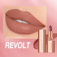 Velvet Mist Texture Locking Makeup Technology Misty Kiss Color Locking Matte Lipstick