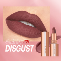 Velvet Mist Texture Locking Makeup Technology Misty Kiss Color Locking Matte Lipstick